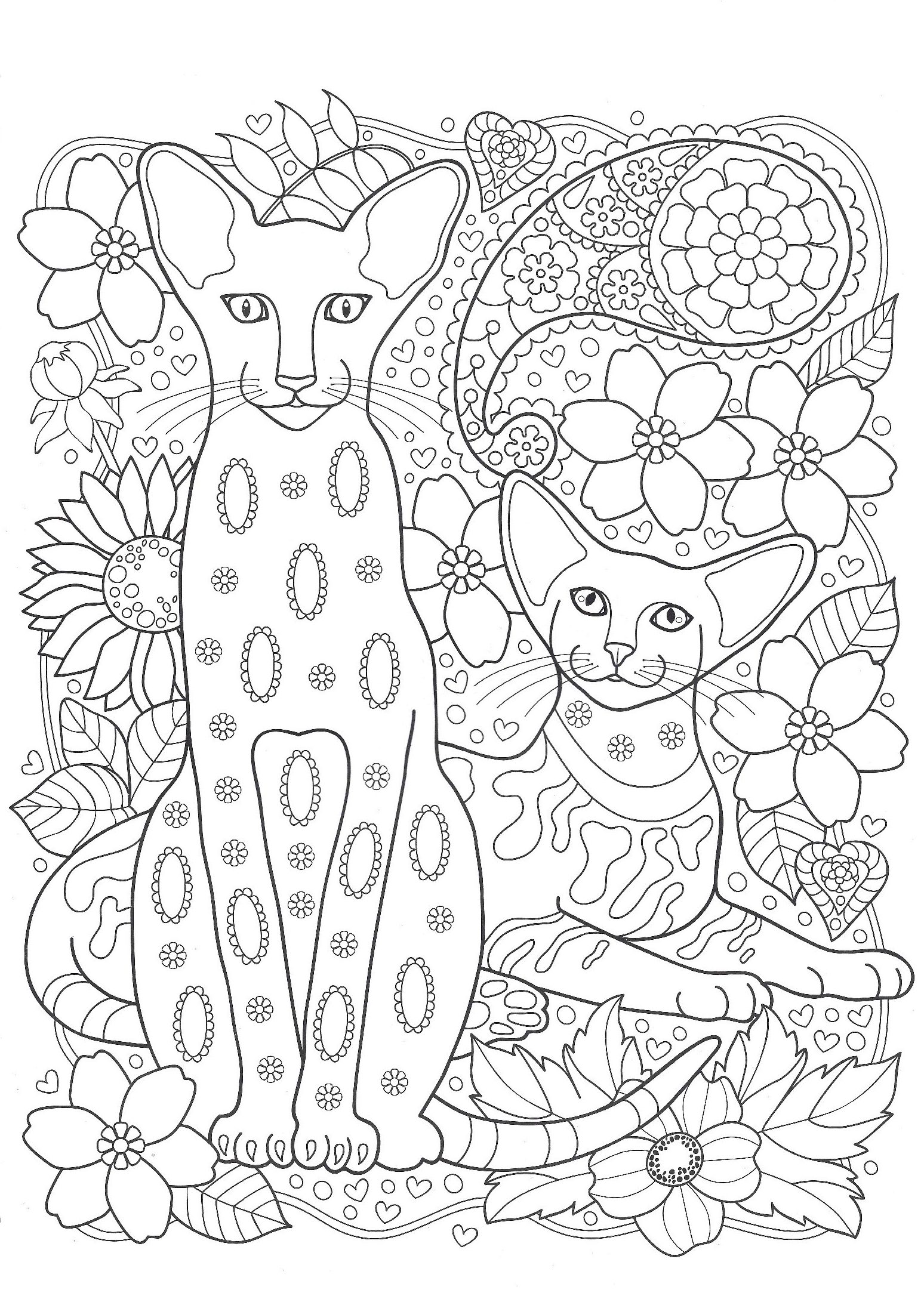 Коты Сфинксы