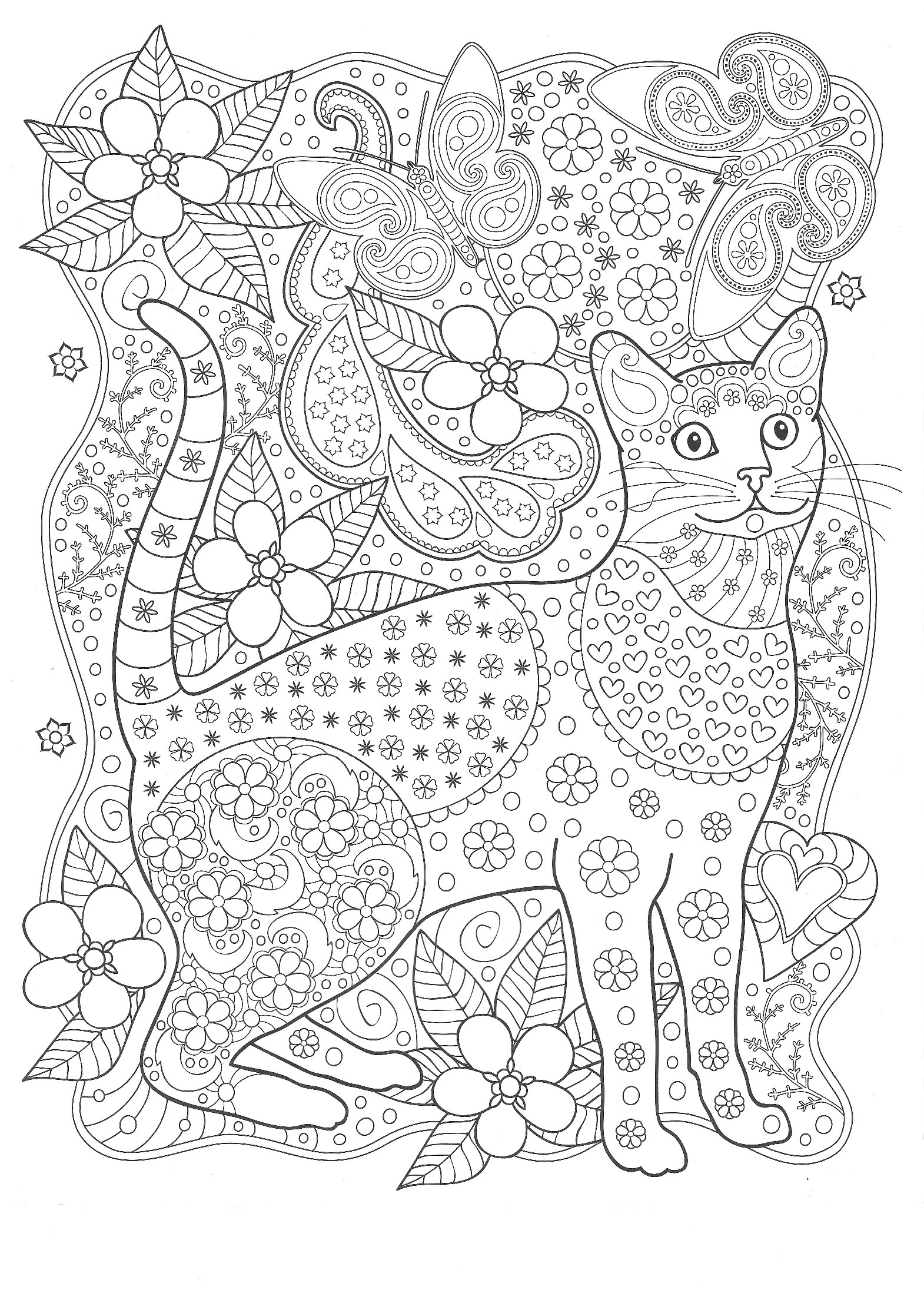 Кот с бабочками