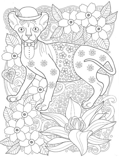 Кошка Сфинкс в шляпе