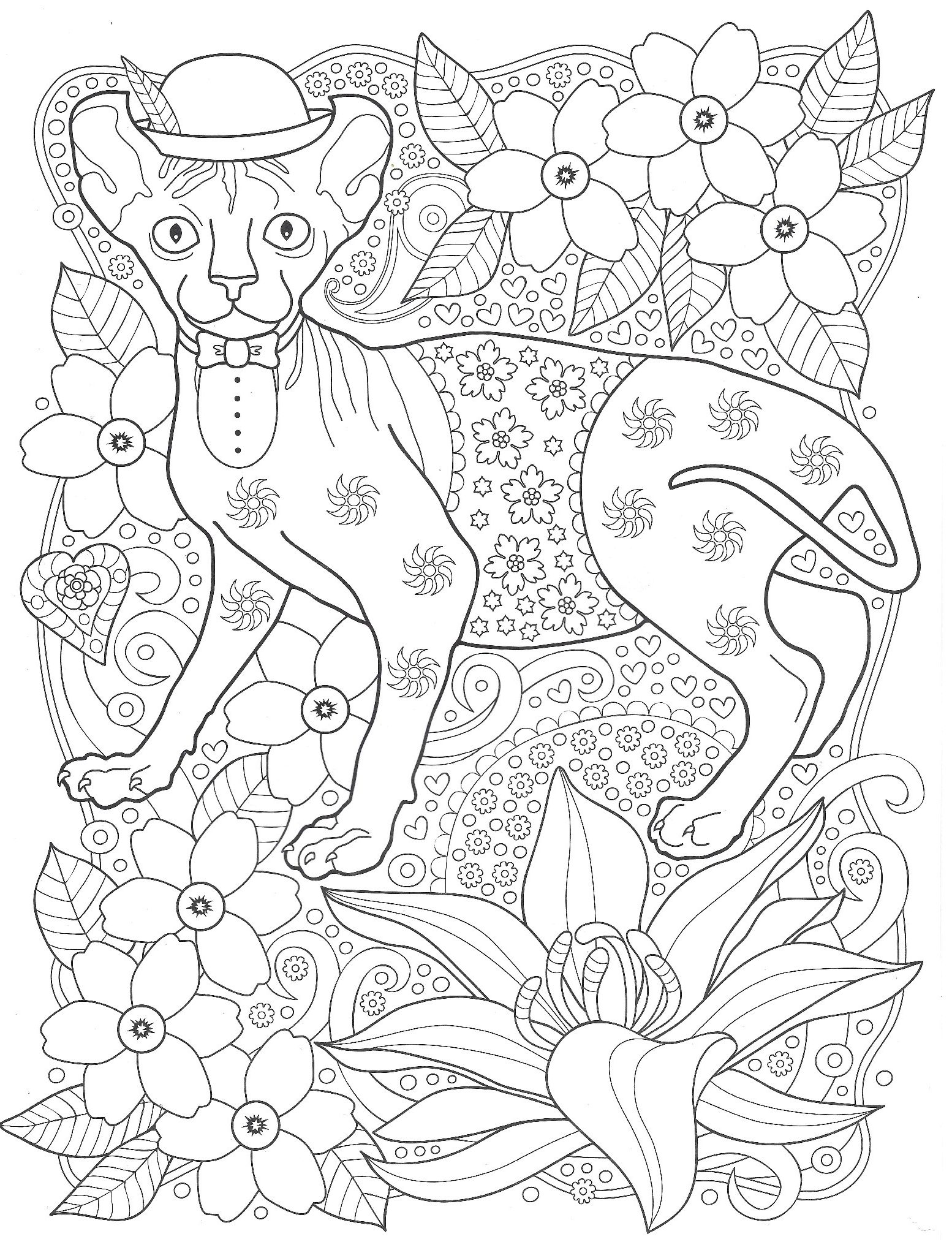 Кошка Сфинкс в шляпе