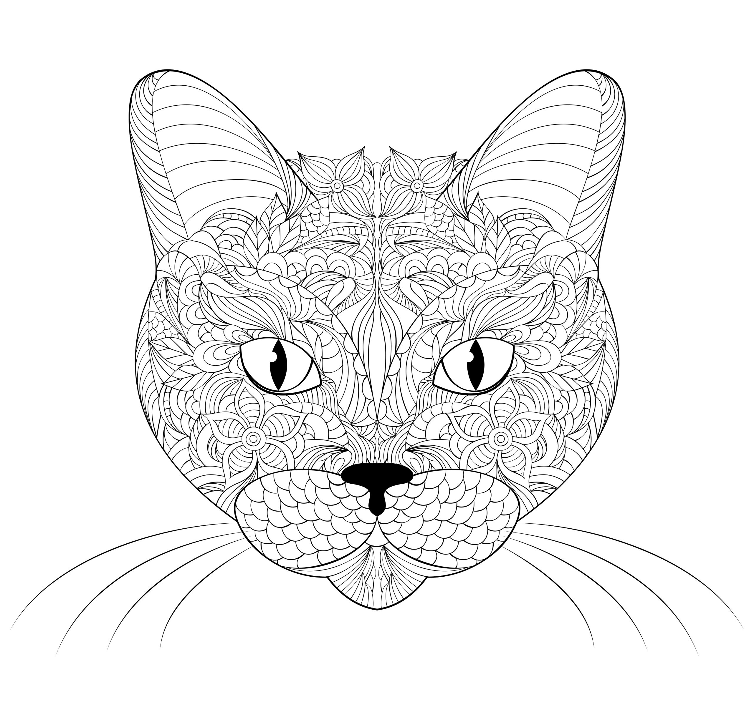 Морда кошки