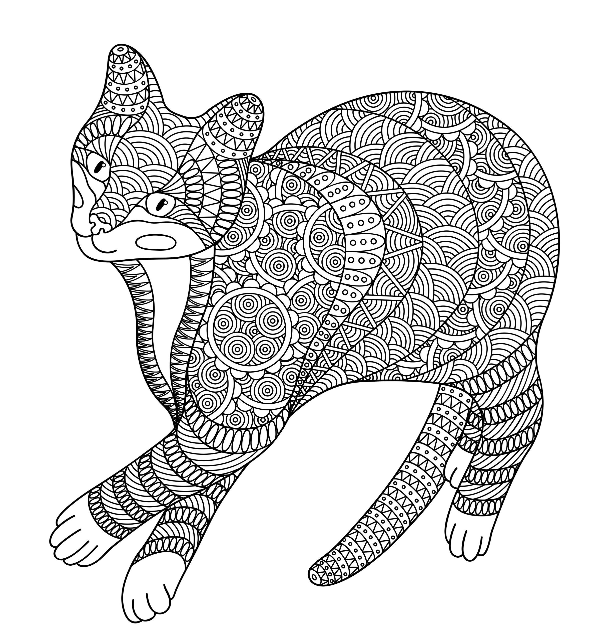 Полосатый кот
