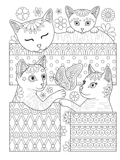 Котята в коробках