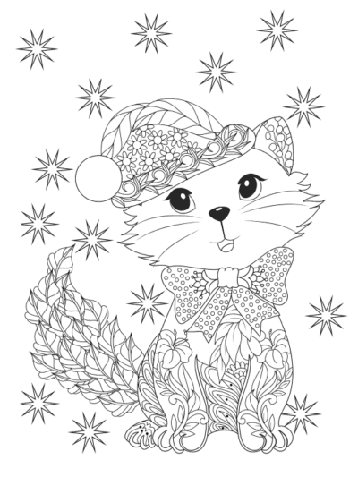 Котик в новогодней шапке